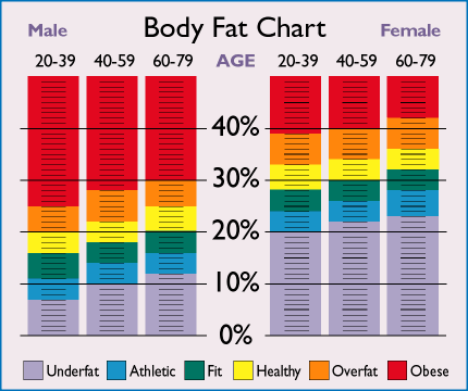 From Lean Body Mass to Overweight: Is BMI an Outdated System?
